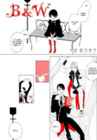 Cover 33638