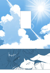 Cover 33699