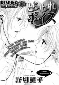Cover 33700