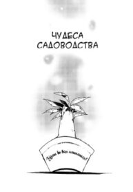 Cover 33844