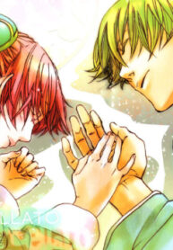 Cover 33872
