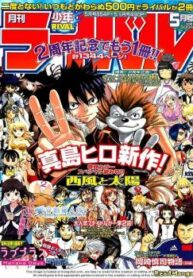 Cover 33915