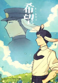 Cover 33937