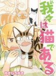 Cover 33970