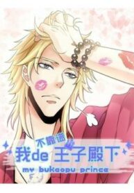 Cover 34208