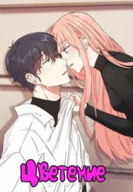 Cover 34637