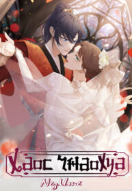 Cover 34648