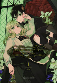 Cover 35079