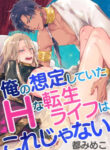 Cover 35101