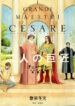 Cover 35304