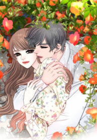 Cover 35513