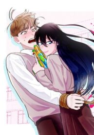 Cover 35643
