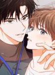 Cover 35661