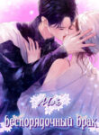 Cover 36278