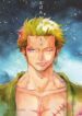 Cover 36455