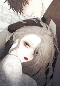 Cover 37071