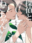 Cover 37099