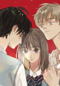 Cover 37496
