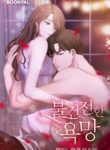 Cover 37527
