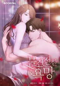Cover 37527