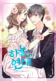 Cover 38079