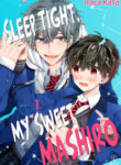Cover 38085