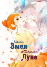 Cover 38125