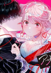 Cover 38211