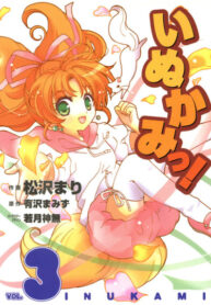 Cover 38453