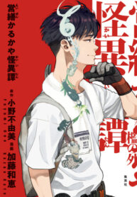 Cover 38740