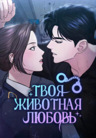 Cover 38907