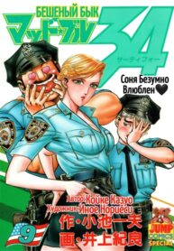 Cover 39025