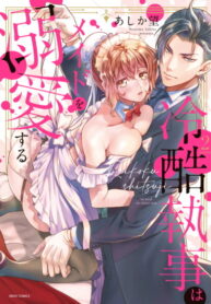 Cover 39033