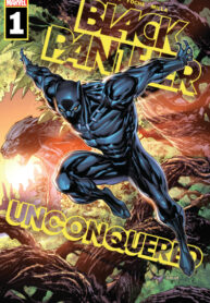 Cover 39407
