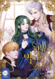 Cover 39477