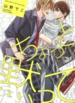 Cover 39784