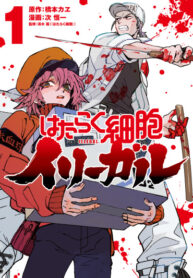 Cover 39851
