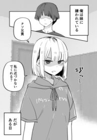 Cover 40166