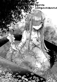 Cover 40250