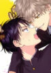 Cover 40336