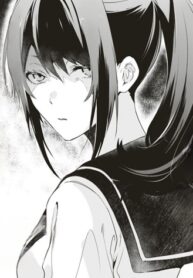 Cover 40462