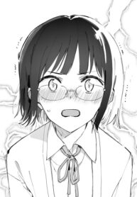 Cover 40490