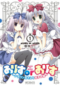 Cover 40517