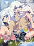 Cover 40545