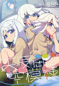 Cover 40545