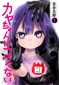 Cover 40620