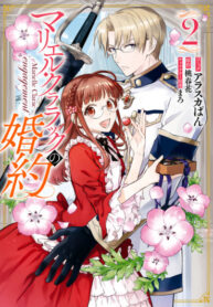 Cover 40730