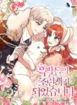 Cover 40873