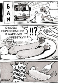 Cover 40903