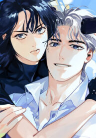 Cover 41007